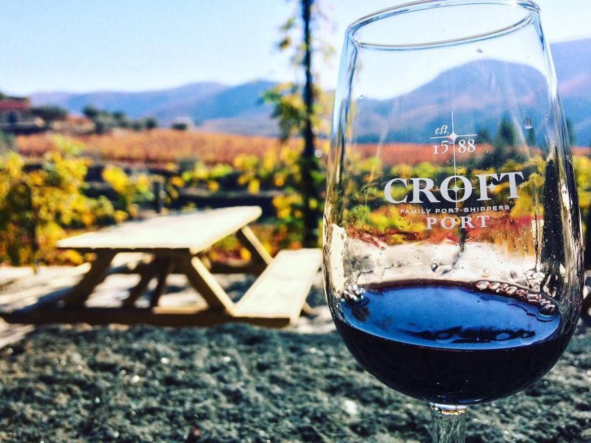 From Porto: Douro Valley w/ Boat Tour, Wine Tasting & Lunch - Group Dynamics, Guides, and What to Expect From the Day’s Energy