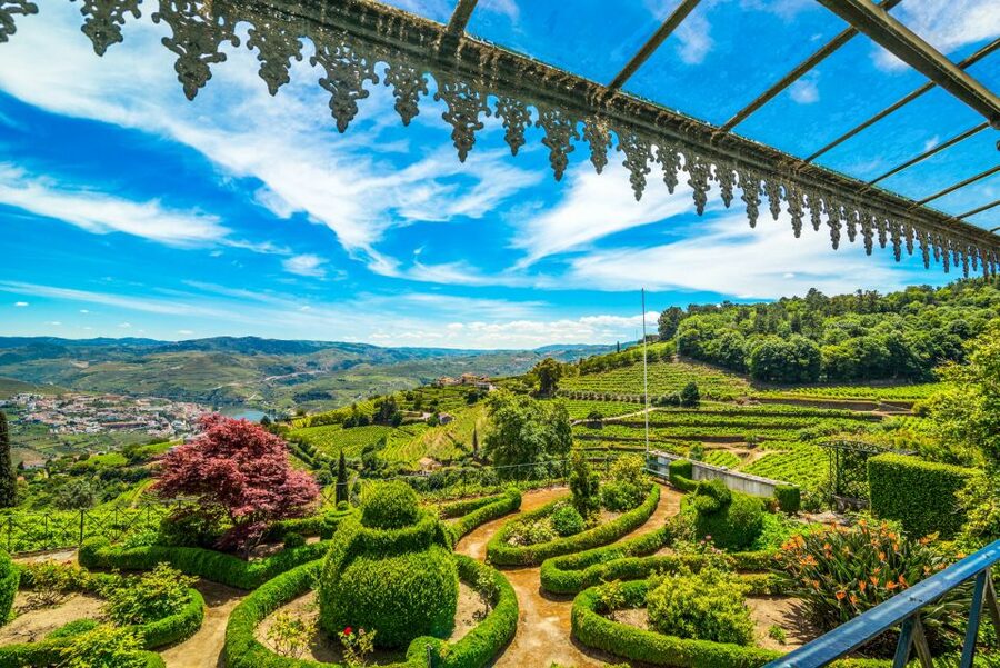 From Porto: Douro Valley w/ Boat Tour, Wine Tasting & Lunch - The N222 Scenic Drive and Viewpoints: Why the “In Between” Adds Value