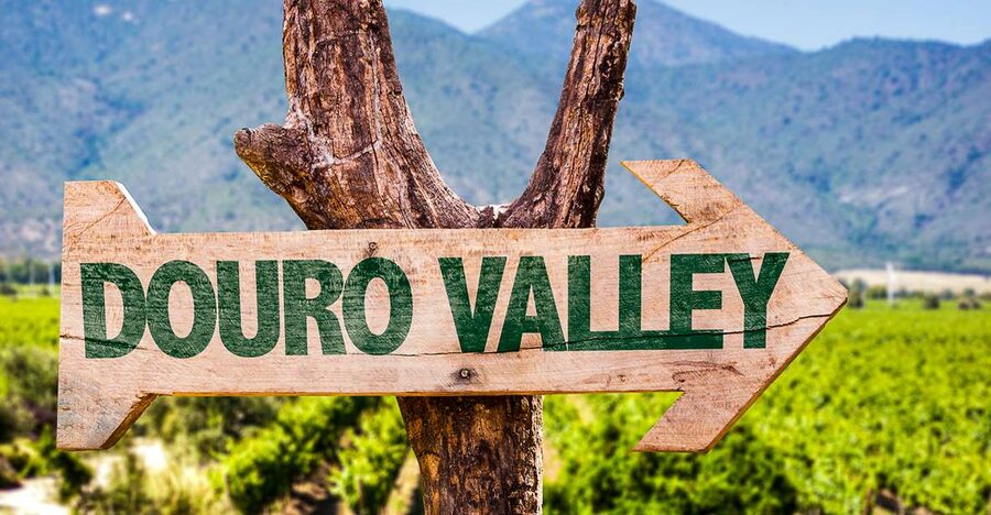 From Porto: Douro Valley w/ Boat Tour, Wine Tasting & Lunch - What’s Included, and Why the Price Makes Sense