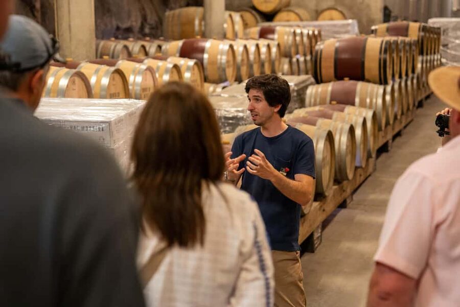 From Porto: Douro Valley Wine Tour with Lunch and Cruise - Lunch With Douro DOC Wines: Traditional Portuguese Food, Served With the Right Setting