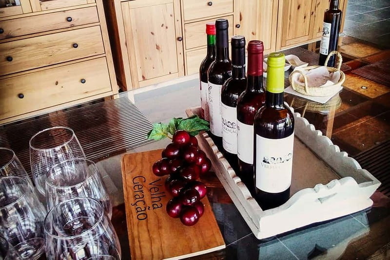From Porto: Douro Valley with Wineries, Lunch and Boat Trip - A full day where the Douro is the main character