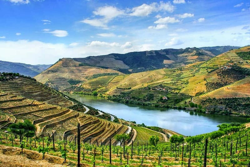 From Porto: Douro Valley with Wineries, Lunch and Boat Trip - The drive with a stop in Amarante and a photo break at Peso da Régua