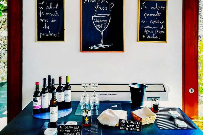 From Porto: Douro Valley with Wineries, Lunch and Boat Trip - Quinta do Seixo and Port tastings that make the valley click
