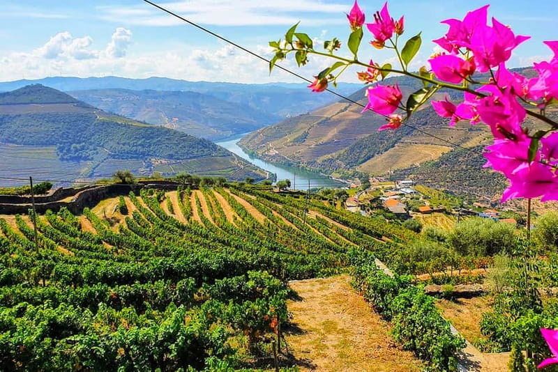 From Porto: Douro Valley with Wineries, Lunch and Boat Trip - Porto meet-up and the optional hotel pick-up