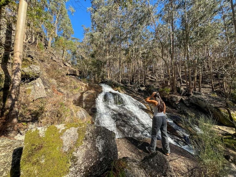 From Porto: Forest Waterfalls & Roman Ruins Trail Tour - Key things I’d focus on before you book