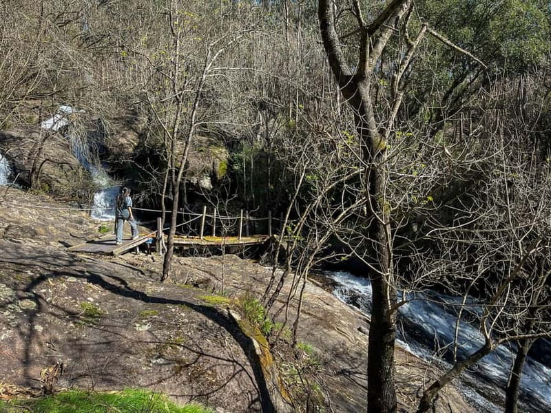 From Porto: Forest Waterfalls & Roman Ruins Trail Tour - Drop-Off Options in Porto, and How to Plan Your Return