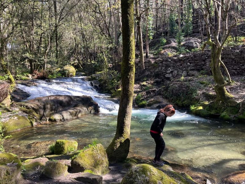 From Porto: Forest Waterfalls & Roman Ruins Trail Tour - Why This Forest and Roman Ruins Walk From Porto Makes Sense
