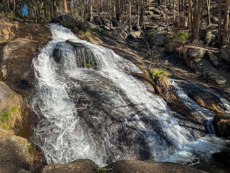 From Porto: Forest Waterfalls & Roman Ruins Trail Tour - Quedas da Fervença Waterfalls: Where the Forest Breathes
