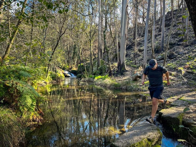 From Porto: Forest Waterfalls & Roman Ruins Trail Tour - Castro Monte Padrão Roman Ruins: Stone Walls and Hill Views