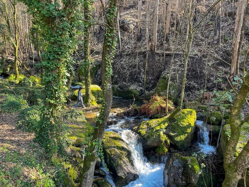 From Porto: Forest Waterfalls & Roman Ruins Trail Tour - Pace and Terrain: What 4 Hours Really Means for Your Body