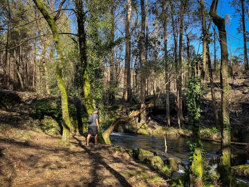 From Porto: Forest Waterfalls & Roman Ruins Trail Tour - Languages, Guide Style, and the Kind of Questions You Can Ask