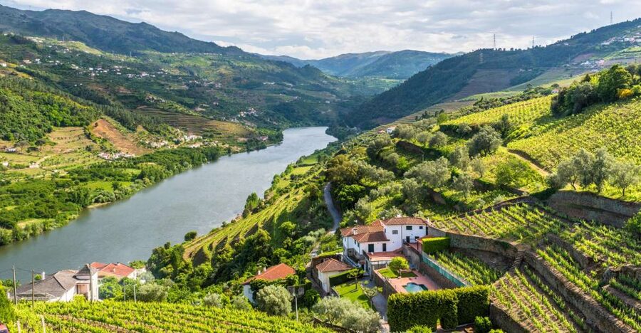 From Porto: Full-Day Douro Historical Tour - Leaving Porto for the Douro, the easy way