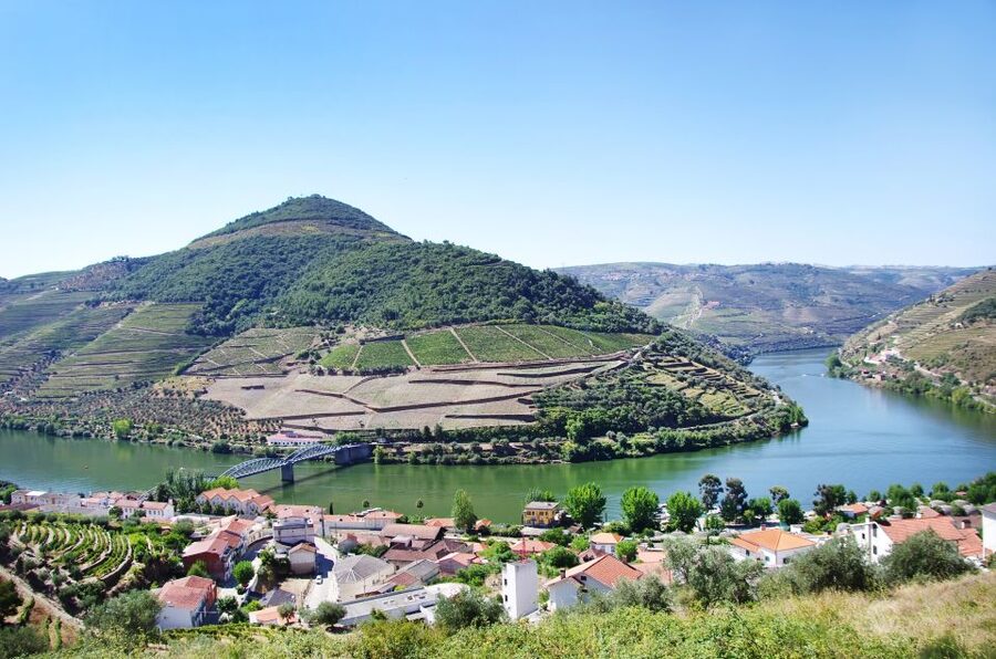 From Porto: Full-Day Douro Historical Tour - The guide experience: why names like Ricardo and Tania keep showing up