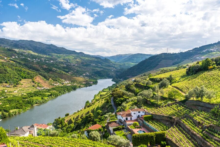 From Porto: Full-Day Douro Historical Tour - The meeting point and what the bus day feels like