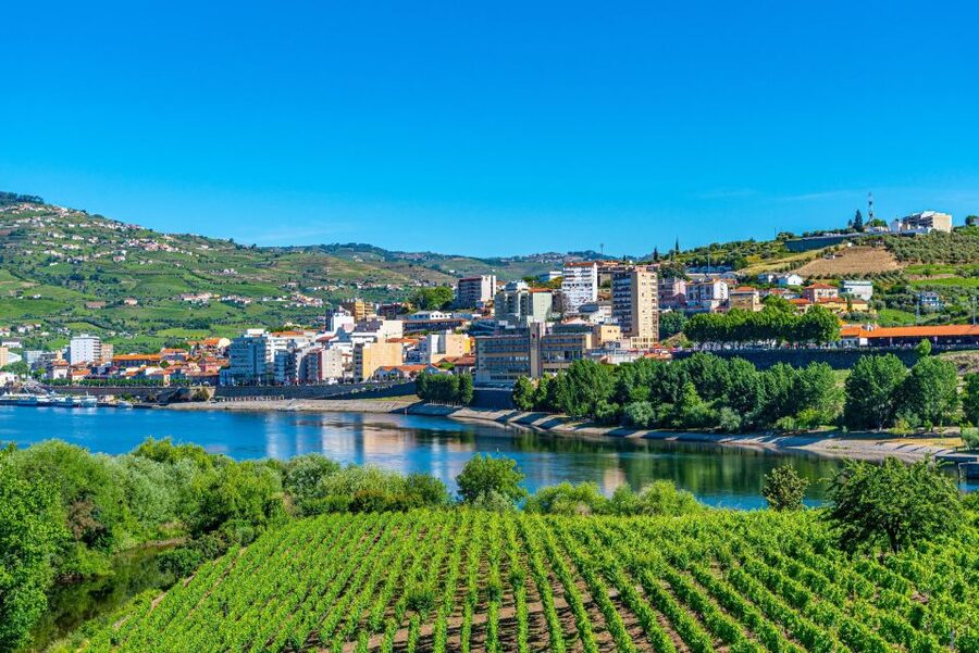 From Porto: Full-Day Douro Valley Trip - Price and value around $97 per person: what you are really paying for