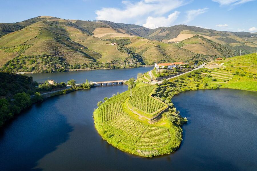 From Porto: Full-Day Douro Valley Trip - Why the Douro Valley day tour works so well