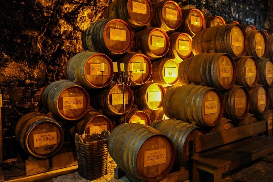 From Porto: Full-Day Douro Valley Trip - Lunch in a wine cellar with Douro wine pairing