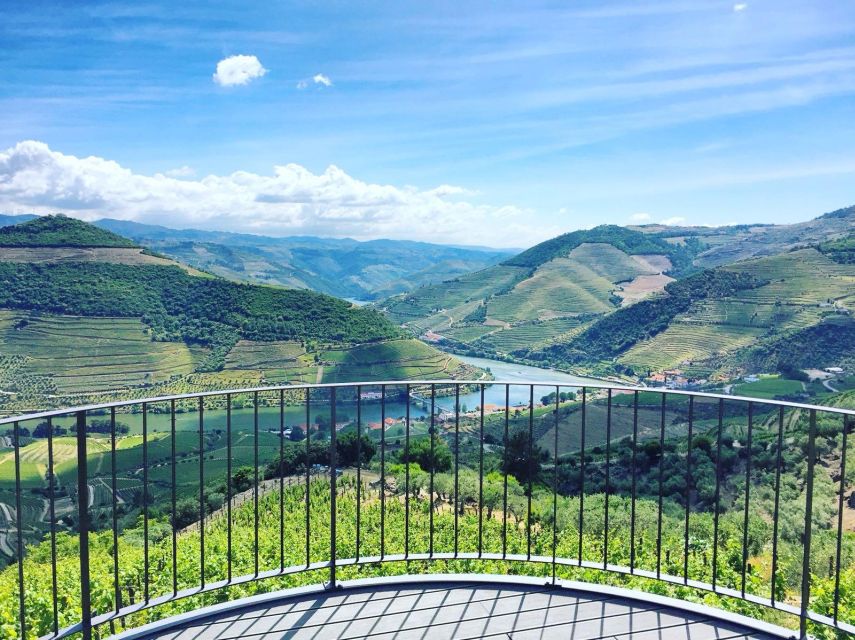 From Porto: Full-Day Douro Valley Trip - Pinhão boat cruise: where the day finally slows down