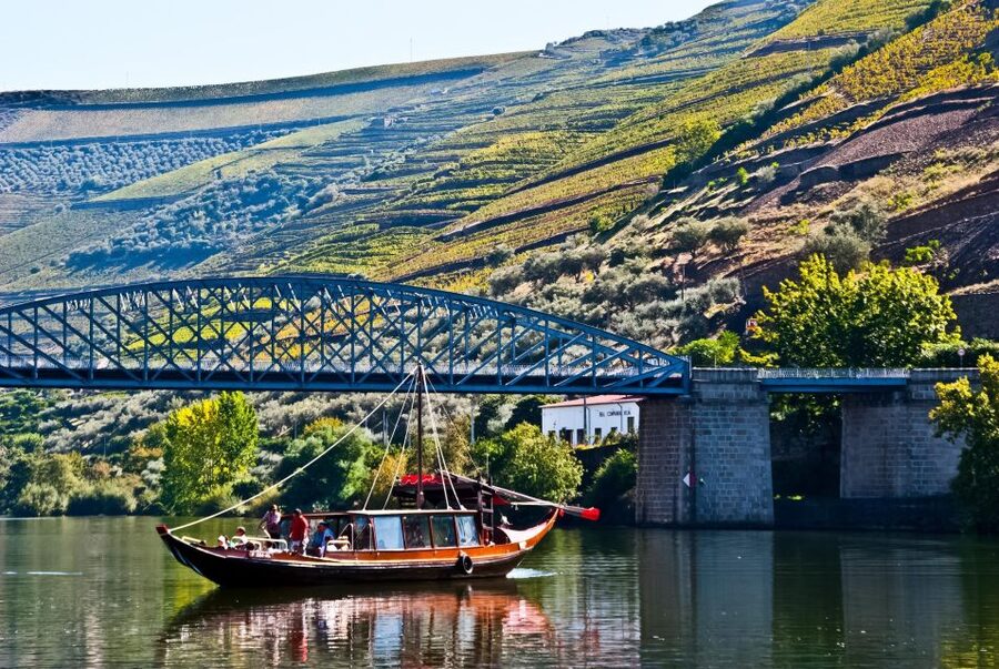 From Porto: Full-Day Douro Valley Trip - Winery stop two in Pinhão and the last photo time