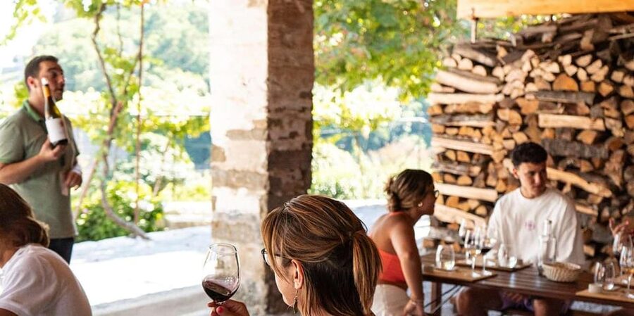 From Porto: Full-Day Douro Valley Trip - Pace, group size, and how to survive a 10-hour day