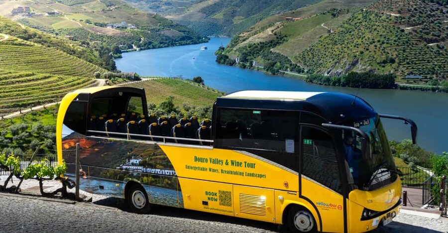 From Porto: Full-Day Douro Valley & Wine Tour with Lunch - Price and Logistics From Porto: What You Pay For, What You Need to Plan