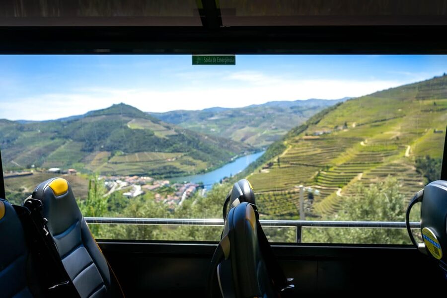 From Porto: Full-Day Douro Valley & Wine Tour with Lunch - Quinta São Luiz: Lunch, Port Production Lessons, and Tasting Time