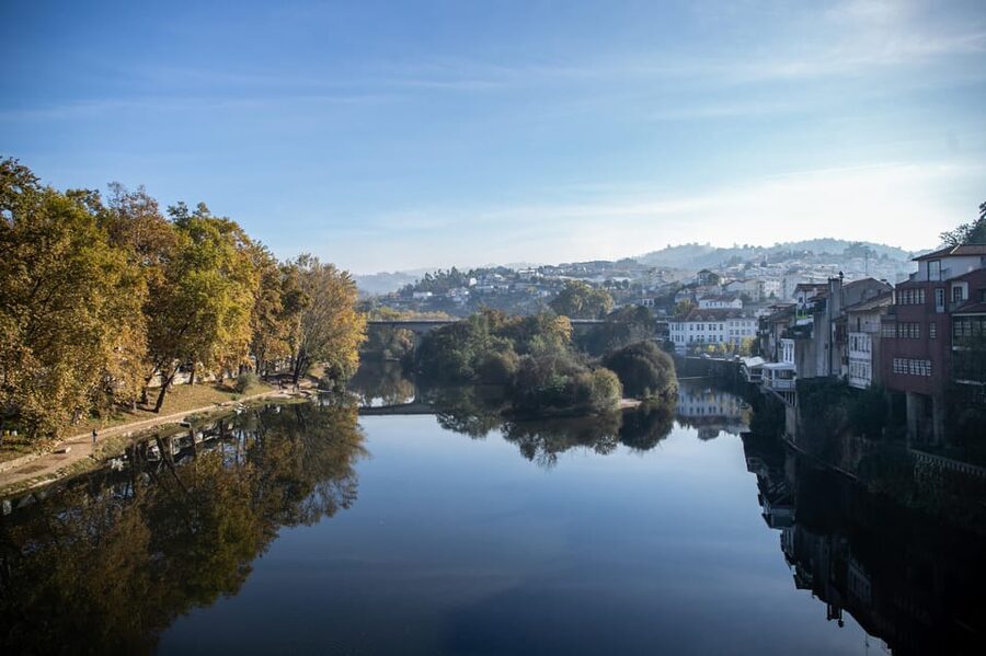 From Porto: Full-Day Douro Valley & Wine Tour with Lunch - Pinhão to the Douro River: The 1-Hour Cruise That Changes Your View