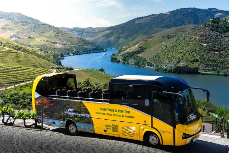 From Porto: Full-Day Douro Valley & Wine Tour with Lunch - Second Winery Visit: Another Set of Tastes, Another Perspective