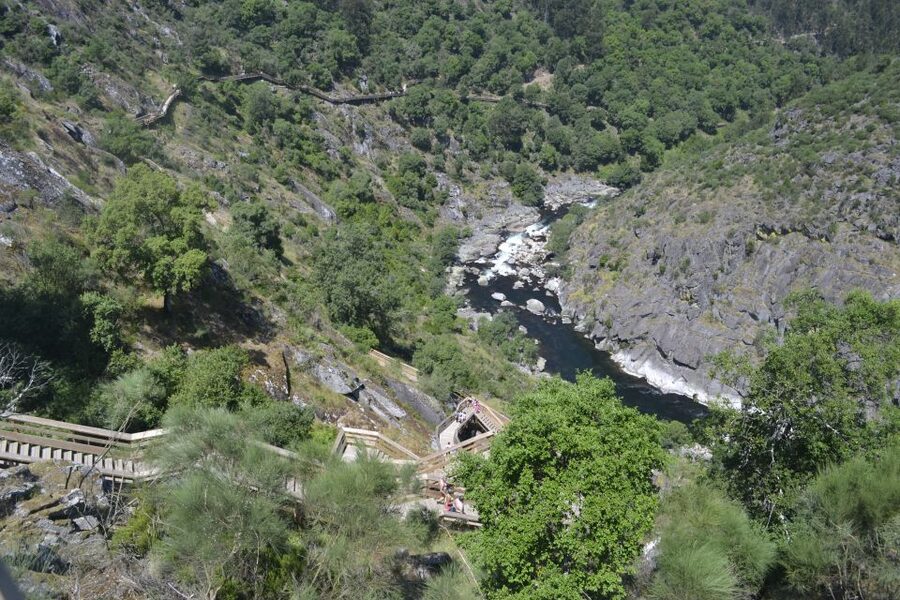 From Porto: Full-Day Paiva Walkways Tour - Paiva Walkways from Porto: Why This Hike Feels Different