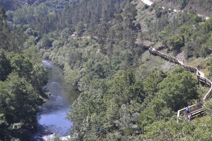 From Porto: Full-Day Paiva Walkways Tour - The Porto Pickup and the Arouca Stop You Should Use Well