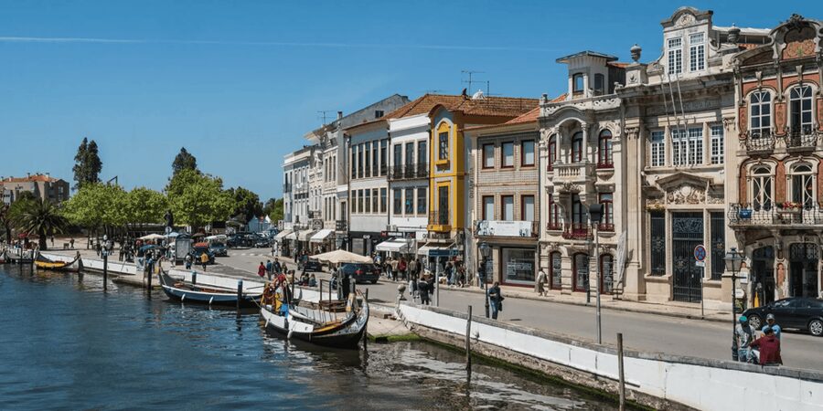 From Porto: Full-Day Trip to Coimbra & Aveiro with Boat Ride - University of Coimbra: Seeing One of Europe’s Oldest Academic Centers
