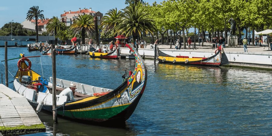 From Porto: Full-Day Trip to Coimbra & Aveiro with Boat Ride - Getting Oriented: The Meeting Point and the Ride Factor
