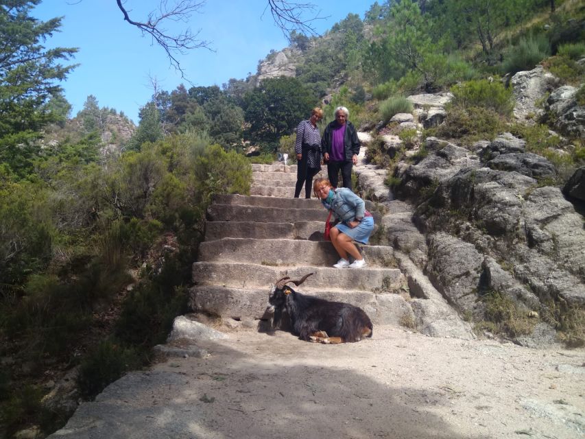 From Porto: Guided tour to Gerês Park - Peneda-Gerês in one day, from Porto or Braga