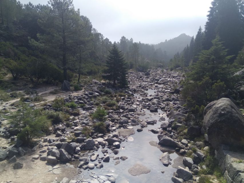 From Porto: Guided tour to Gerês Park - Guided moments: local context, wolf territory, and photo breaks