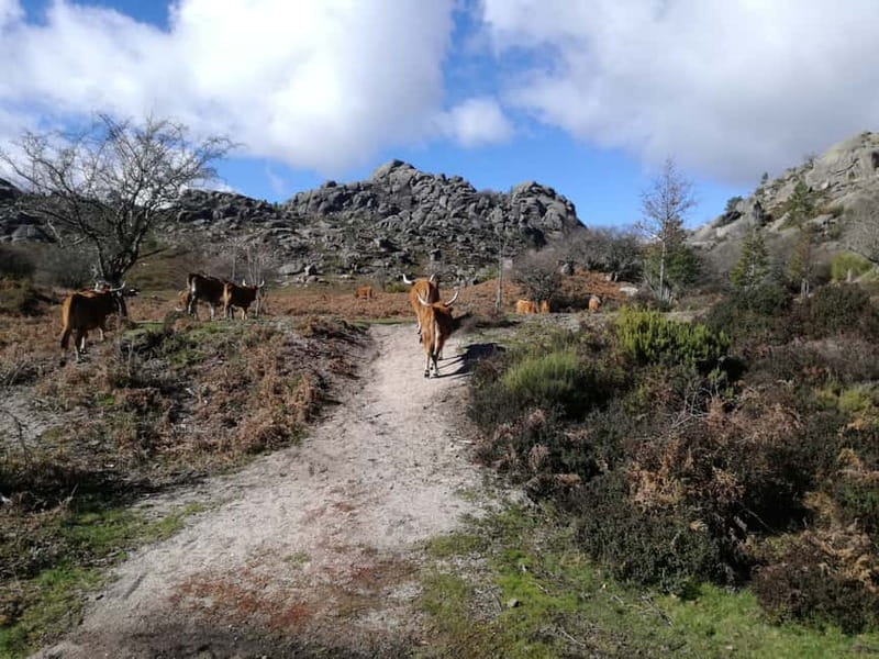 From Porto: Hike, Swim or just Explore Gerês National Park - The Option 2 10 km Hike to Seven Natural Pools (June to September)
