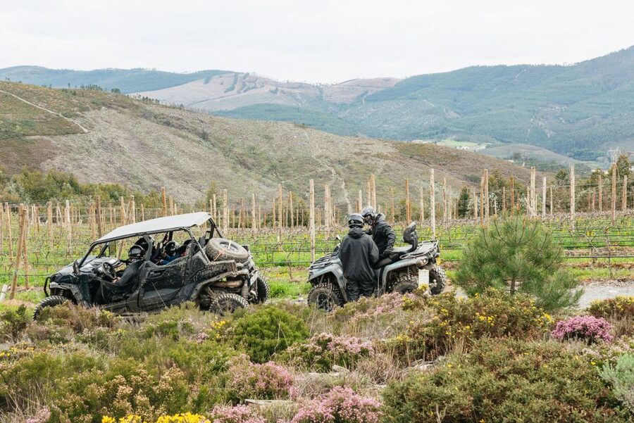 From Porto: Off-Road Buggy Adventure - Key highlights you will feel, not just read
