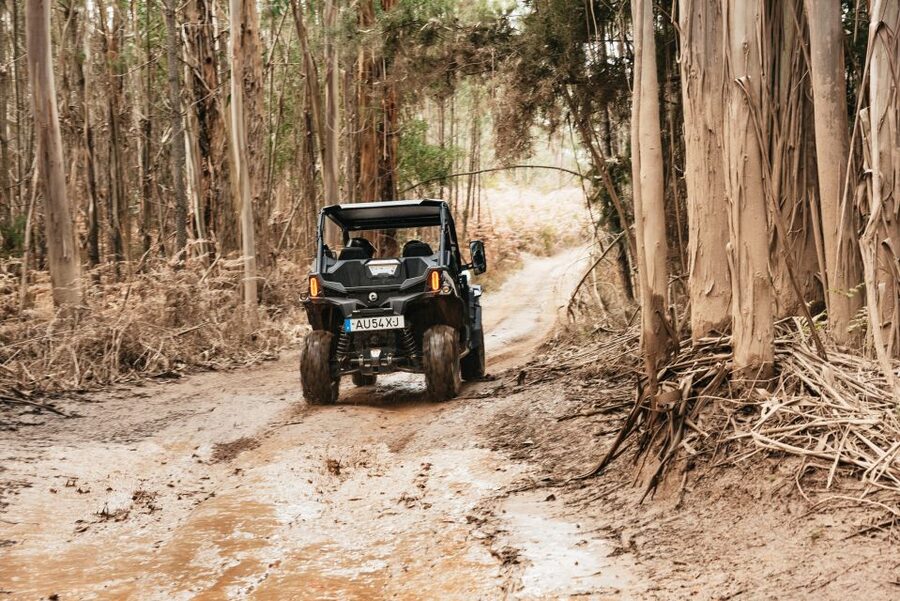 From Porto: Off-Road Buggy Adventure - Should you book Oporto Buggy Adventure from Porto?