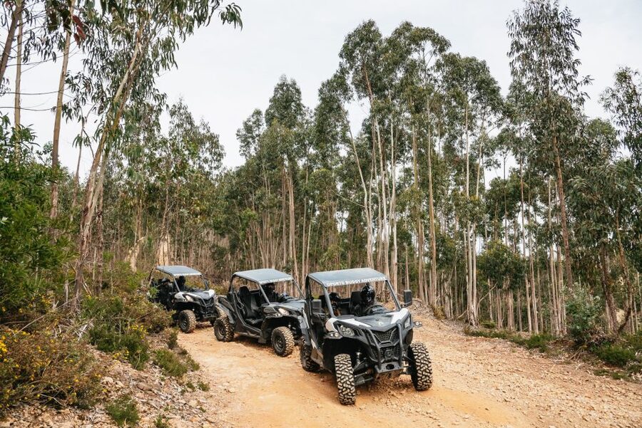 From Porto: Off-Road Buggy Adventure - Castro Mozinho Roman ruins: history you can walk through, not just read