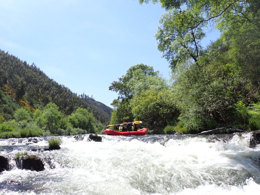 From Porto: Paiva River Canoe Rafting Adventure Tour - Who should book (and who should skip) and what happens in low water