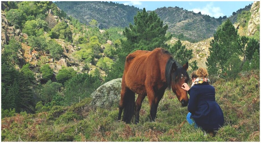 From Porto: Peneda-Gerês National Park Tour with Lunch - Village time inside the park: how local life changes the whole day