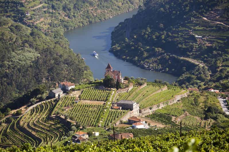 From Porto: Premium Douro Valley Small-Group Wine Tour - From Porto to Douro Valley: What Makes This Day Feel Premium