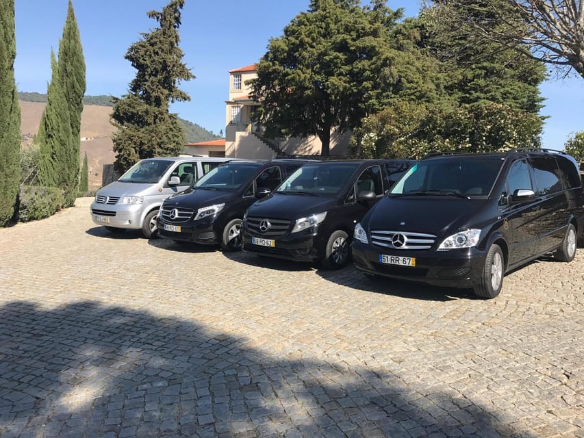 From Porto: Premium Douro Valley Small-Group Wine Tour - Guides, Driver Care, and Why The Human Factor Matters