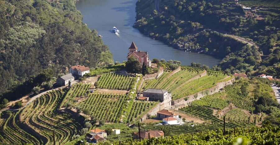From Porto: Premium Douro Valley Small-Group Wine Tour - First Winery Visit: Tastings That Actually Map The Region
