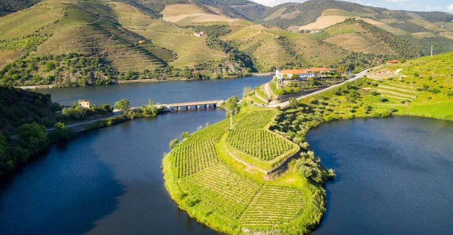 From Porto: Private Douro Valley Tour with Booking Service - Casa de Casal de Loivos: the quick introduction that sets the tone