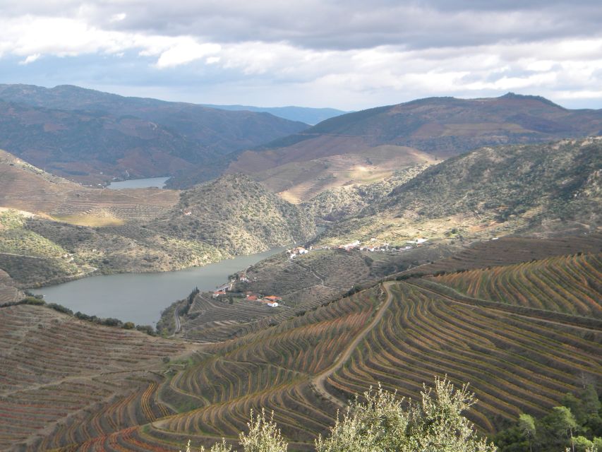 From Porto: Private Douro Valley Tour with Booking Service - Wine tasting and tastemaker choices: how to make the reservation service work for you