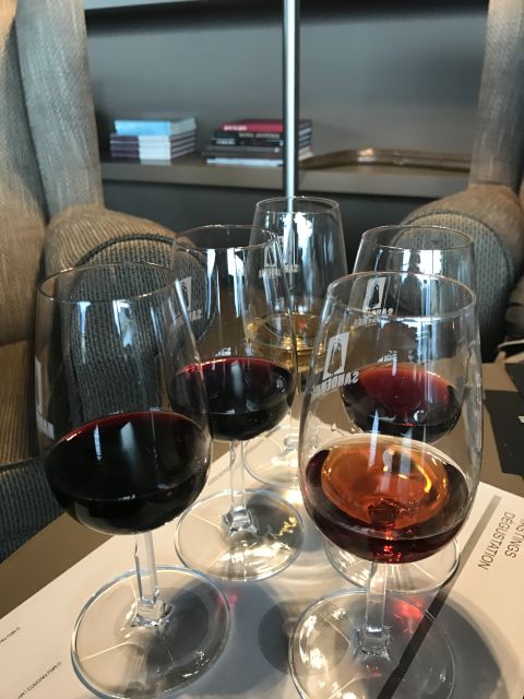 From Porto: Private Douro Valley Tour with Cruise and Wine - Tips to Have a Smooth Day in the Vineyards