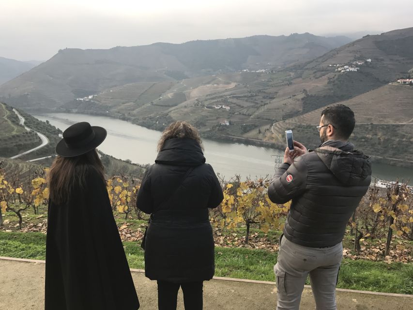 From Porto: Private Douro Valley Tour with Cruise and Wine - Two Wine Estates and Tastings: How to Get the Most From Every Pour