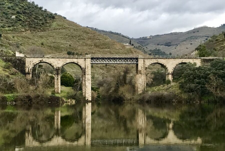 From Porto: Private Douro Valley Tour with Cruise and Wine - Lunch in the Douro Valley: Plan for What Is Included and What Is Not