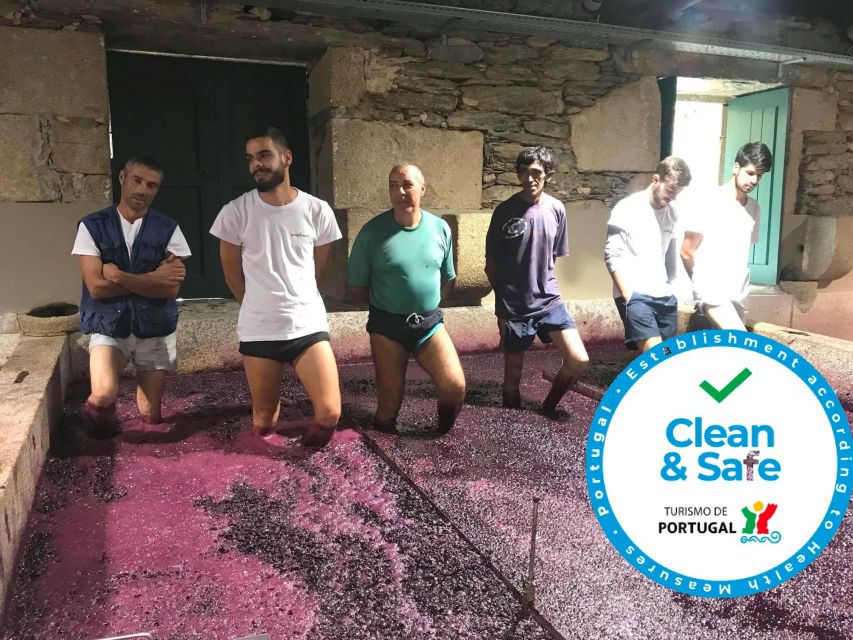 From Porto: Private Douro Valley Tour with Cruise and Wine - Who This Douro Tour Fits Best (and Who Should Skip It)
