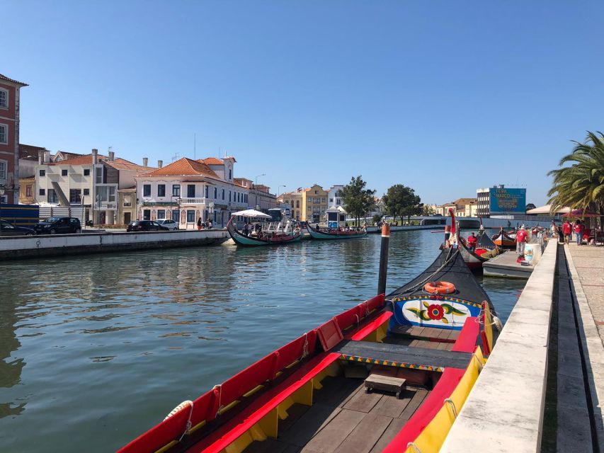 From Porto Private Tour Half Day in Aveiro and Costa Nova - Porto pickup and your private driver-guide setup